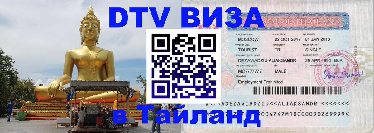 Оформление DTV визы под ключ: стоимость и тарифы, только загранпаспорт - 20.11.2025 